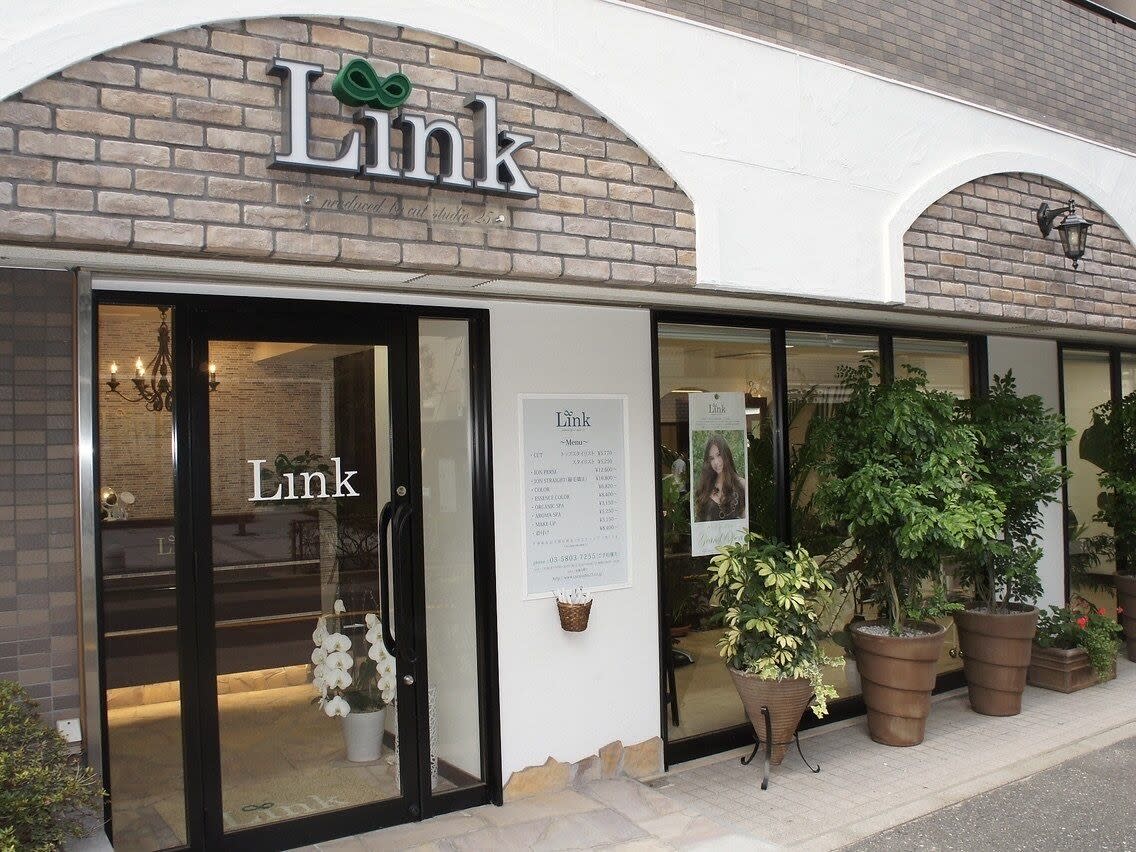 Link