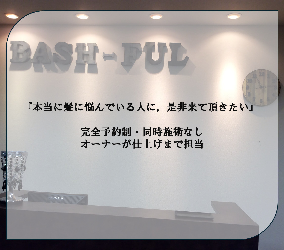 bAsH ful_1