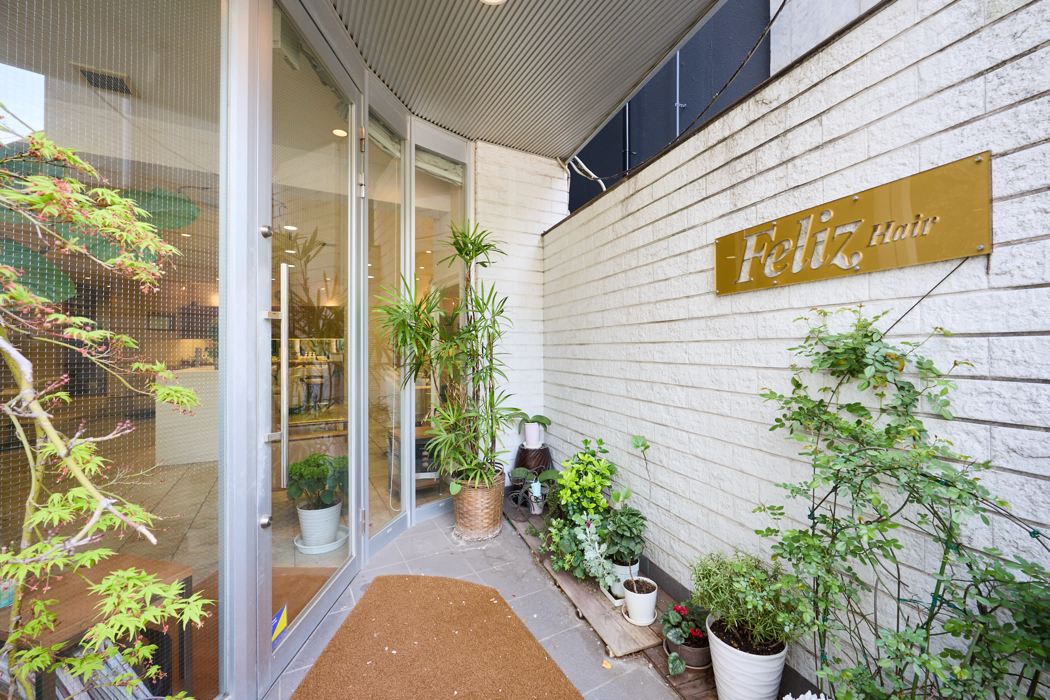 Feliz 【フェリス】_2