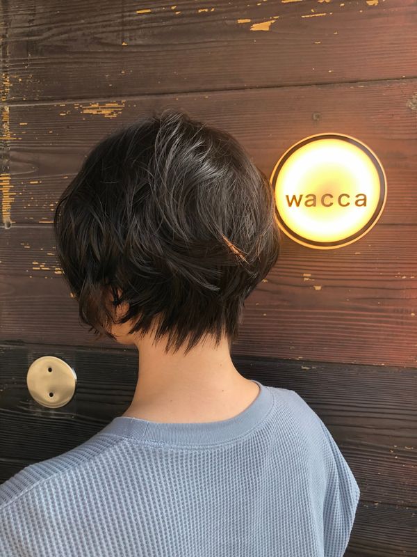 wacca_坂本萌