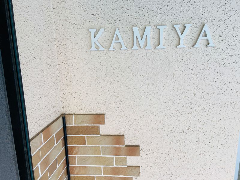 KAMIYA for hair_1