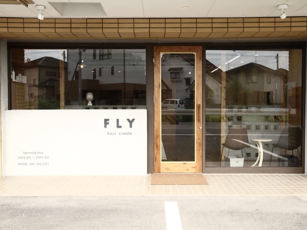 hair create FLY_1