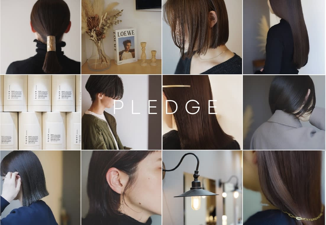 pledge
