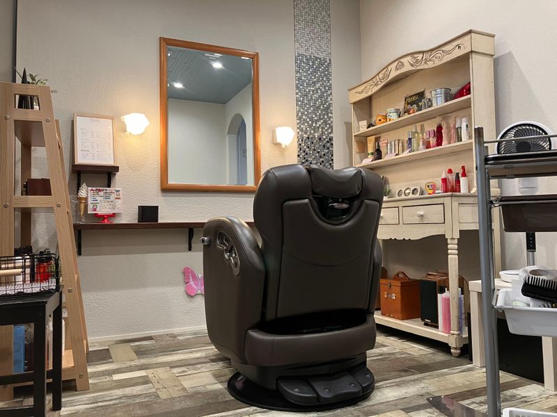 papillon hair place_1