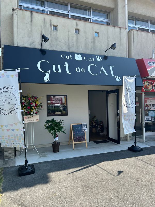 cut de CAT