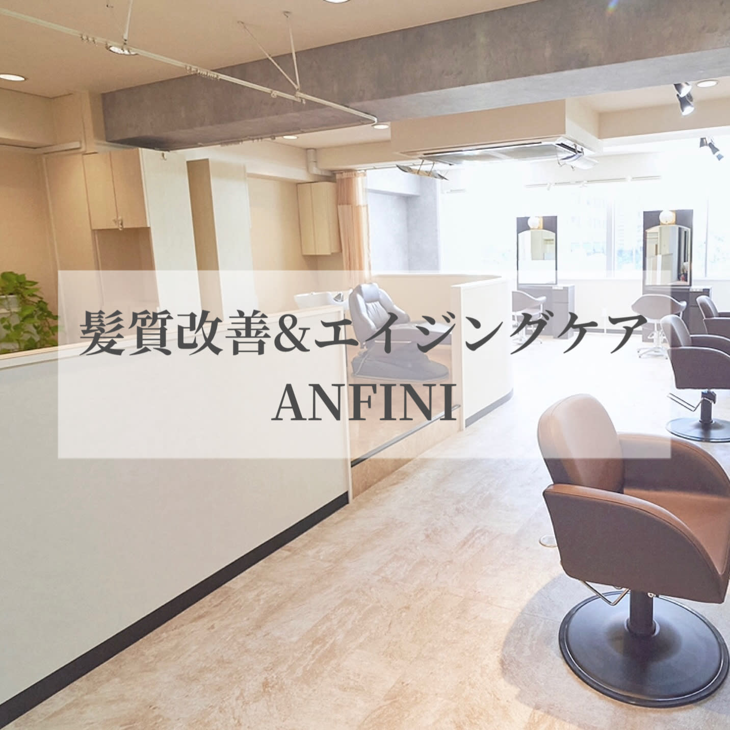 ANFINI_1