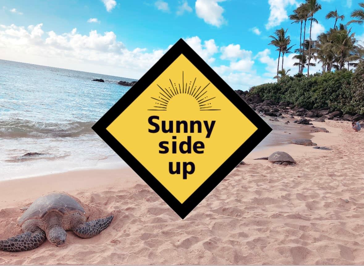 Sunny side up_1
