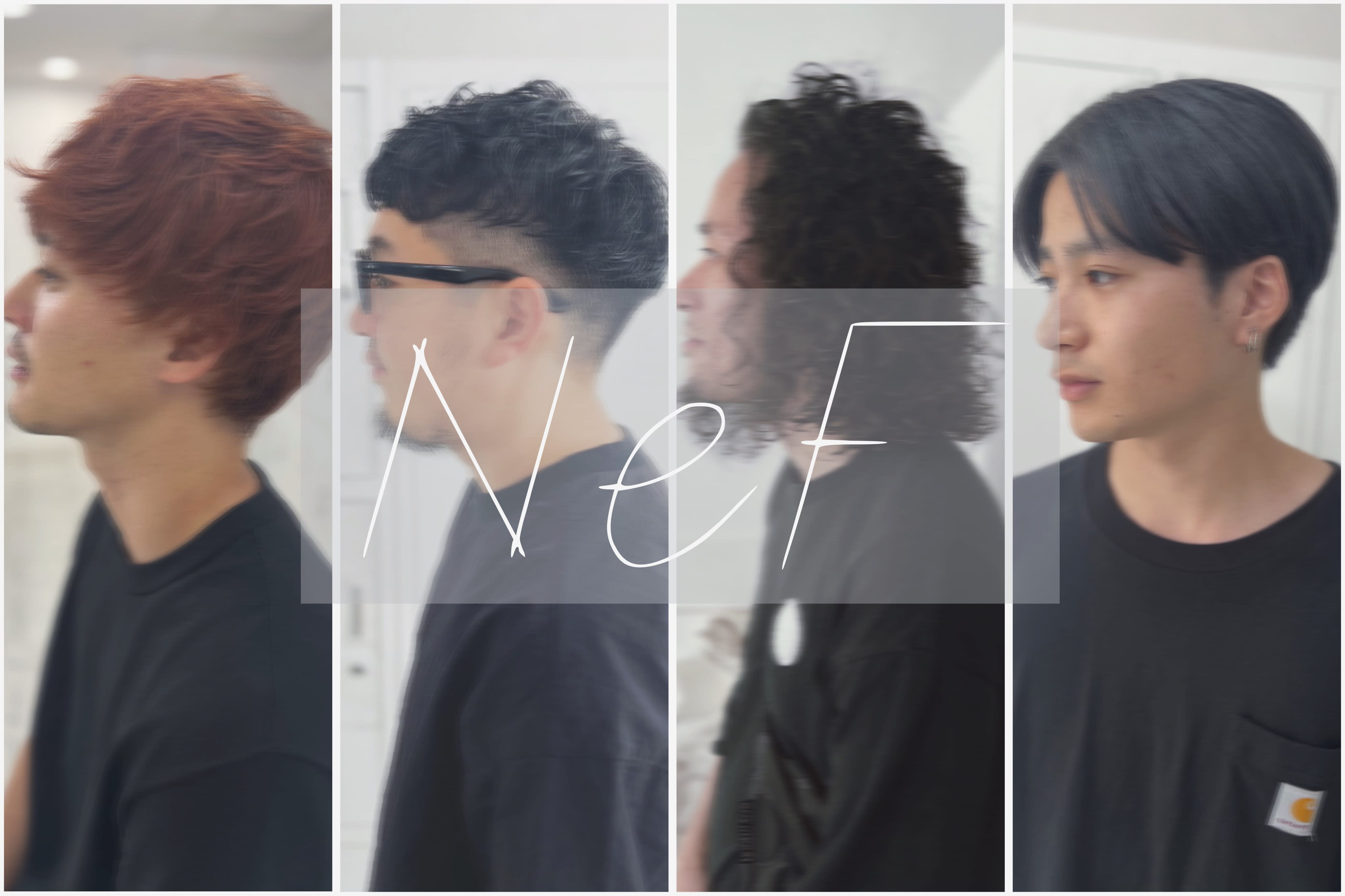 NeF_1