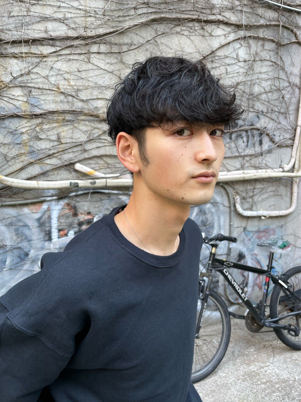 Hair Signature_2