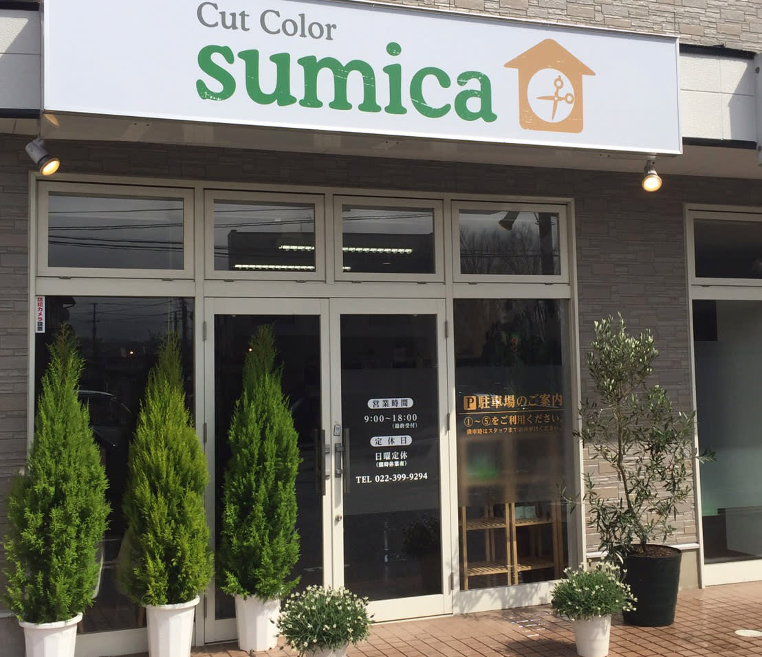 Cut Color sumica【カットカラースミカ】