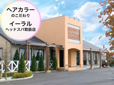 FELICITA musse店_1