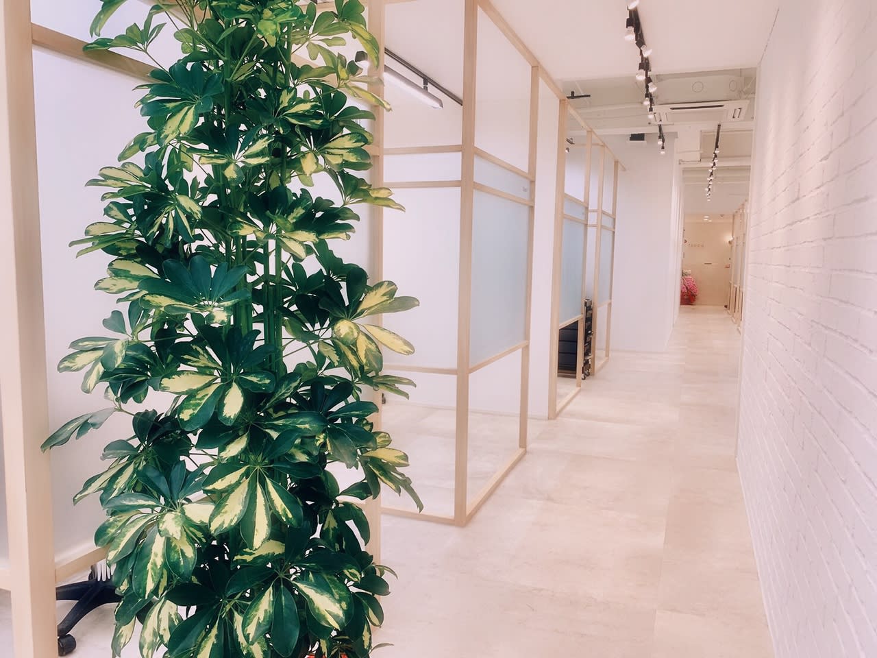 tocca hair&treatment 仙台店_1