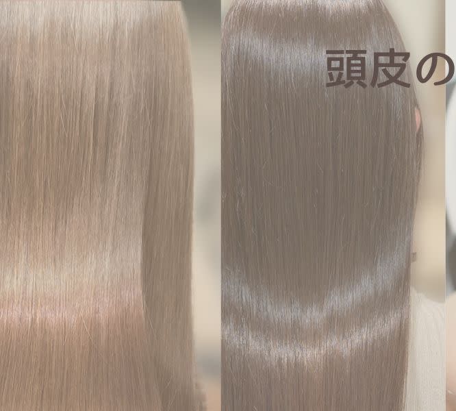【半個室】Log hair&spa
