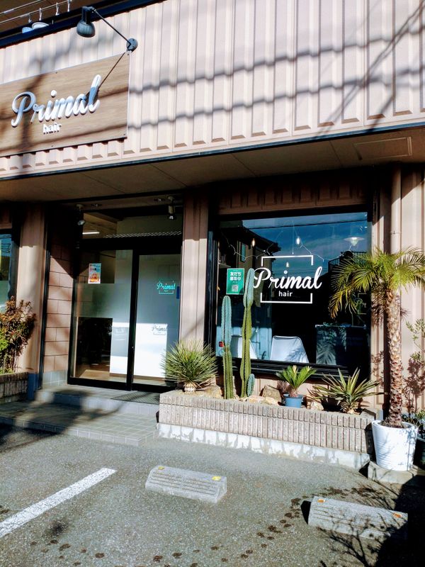 Primal hair