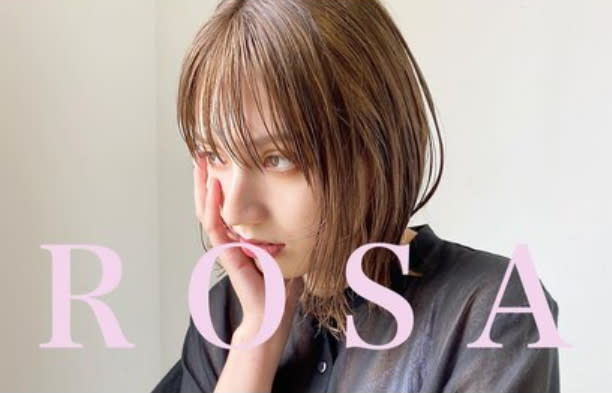 Rosa Mme.Hardy【ロッサ マダムアルディ】