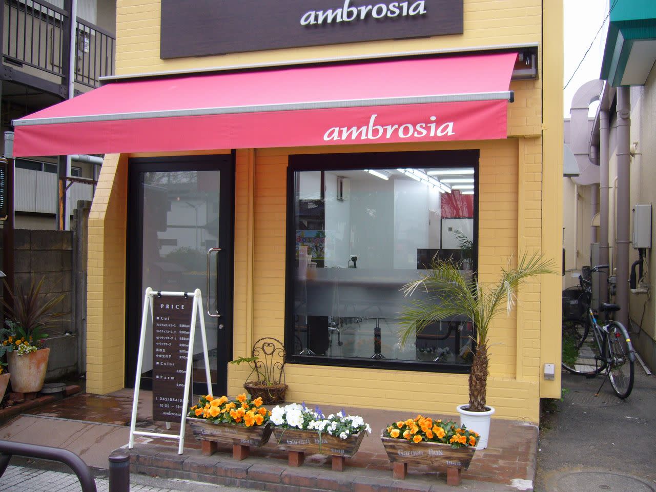 ambrosia