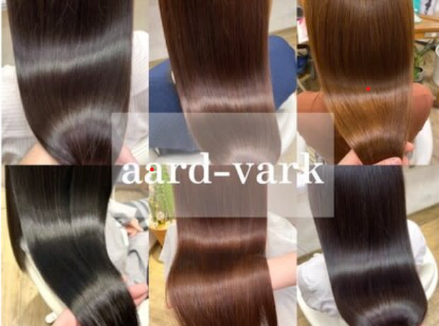 aard‐vark_1