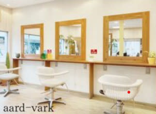 aard‐vark_2