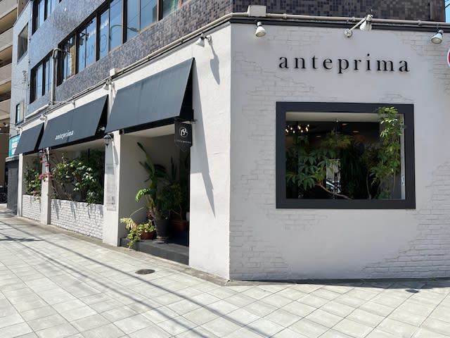 anteprima 【アンテプリマ】