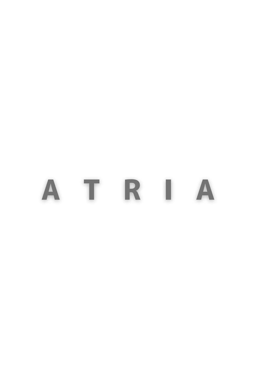Atria 川崎_南 義則