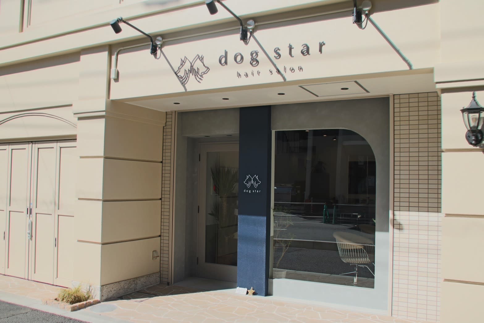 dog star_1