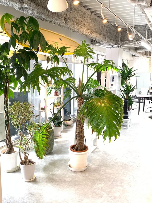 aura 佐世保店_1