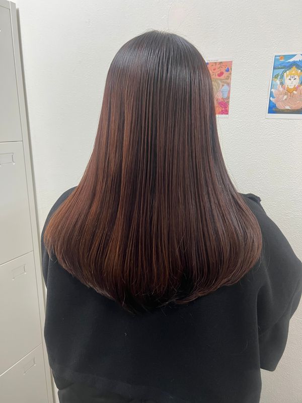 ajuga hair_1