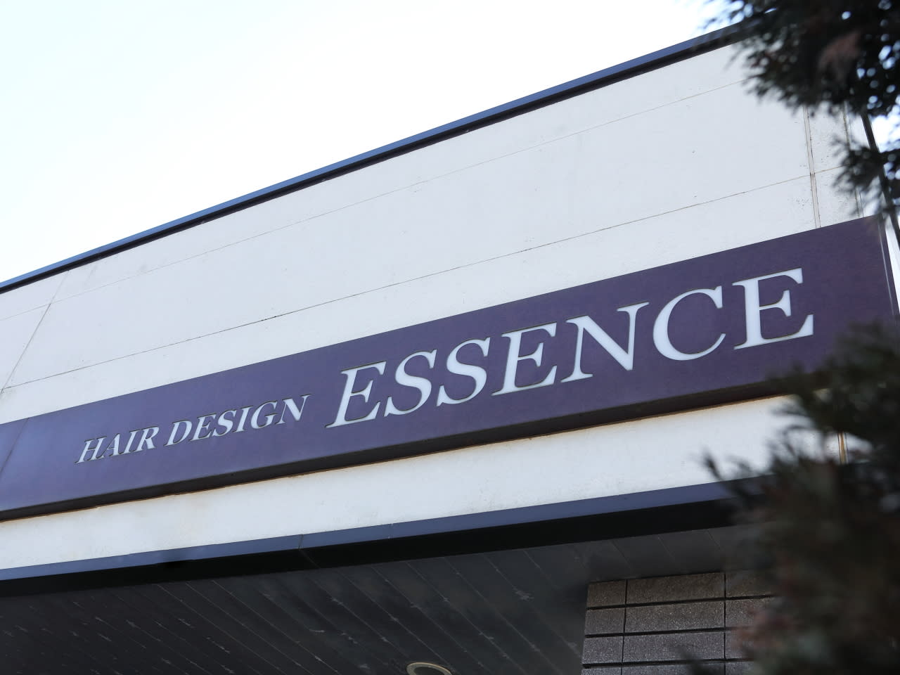 ESSENCE HAIRDESIGN_1