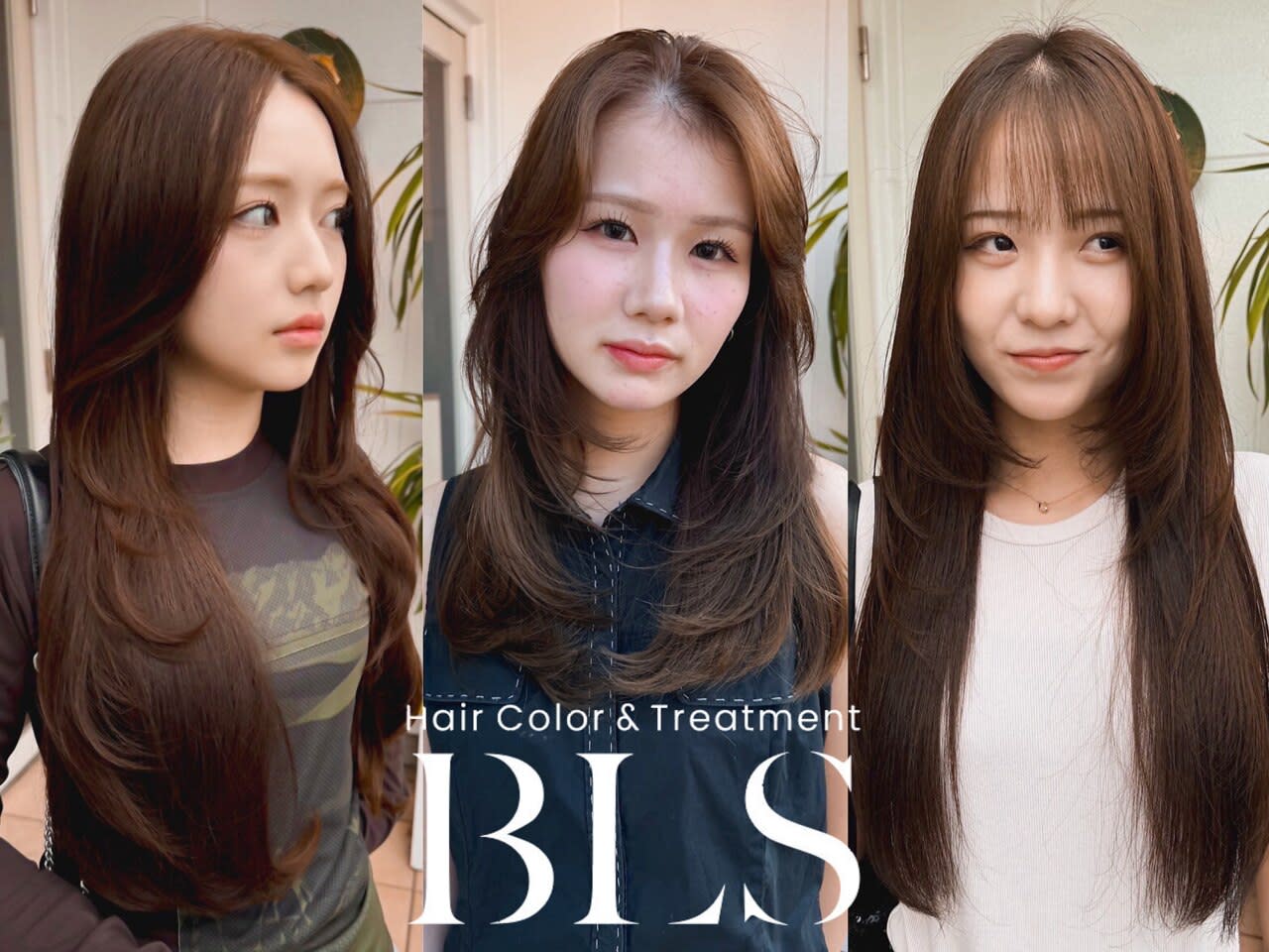Hair Color & Treatment BLS