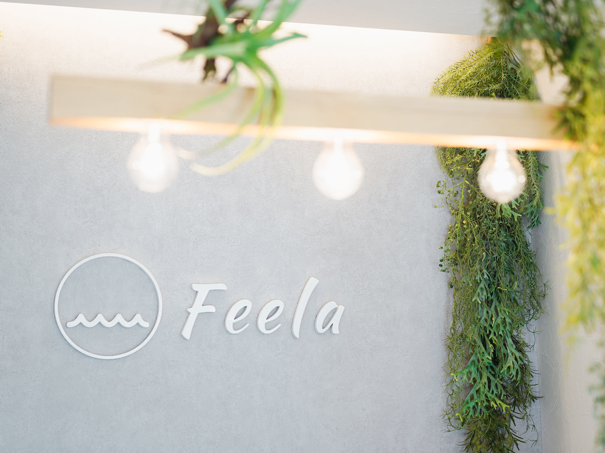 Feela（ヘア）_1