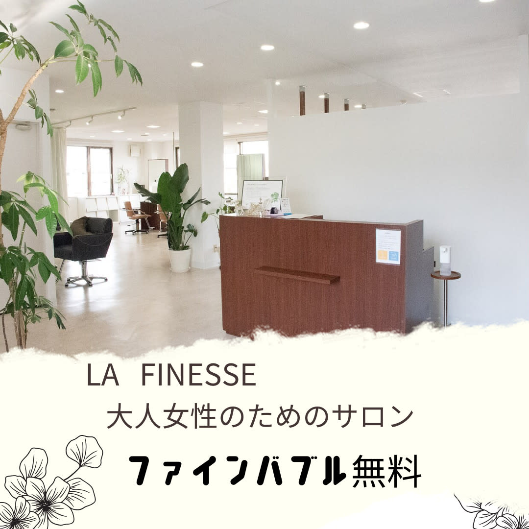 LA FINESSE