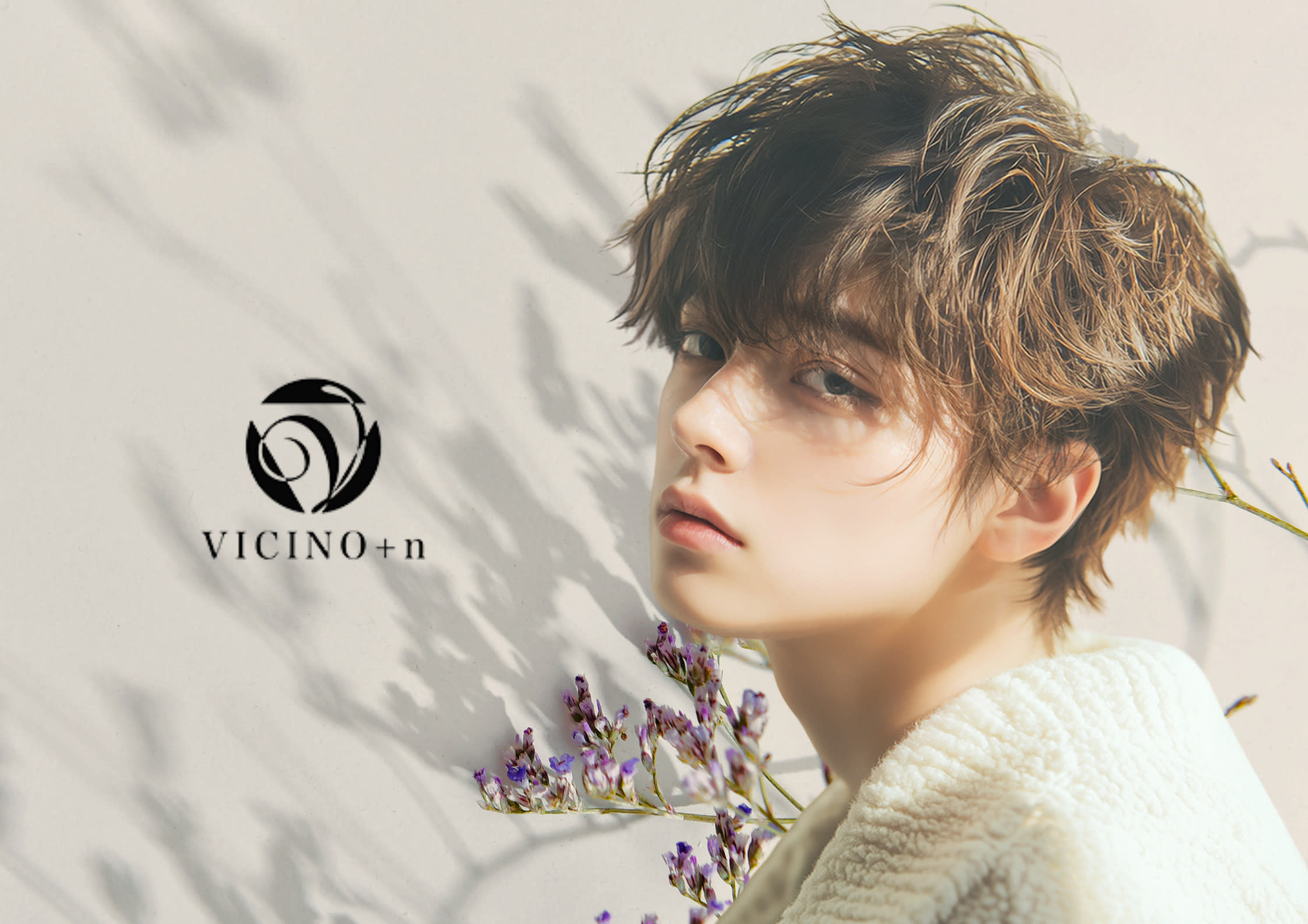 VICINO+n_1