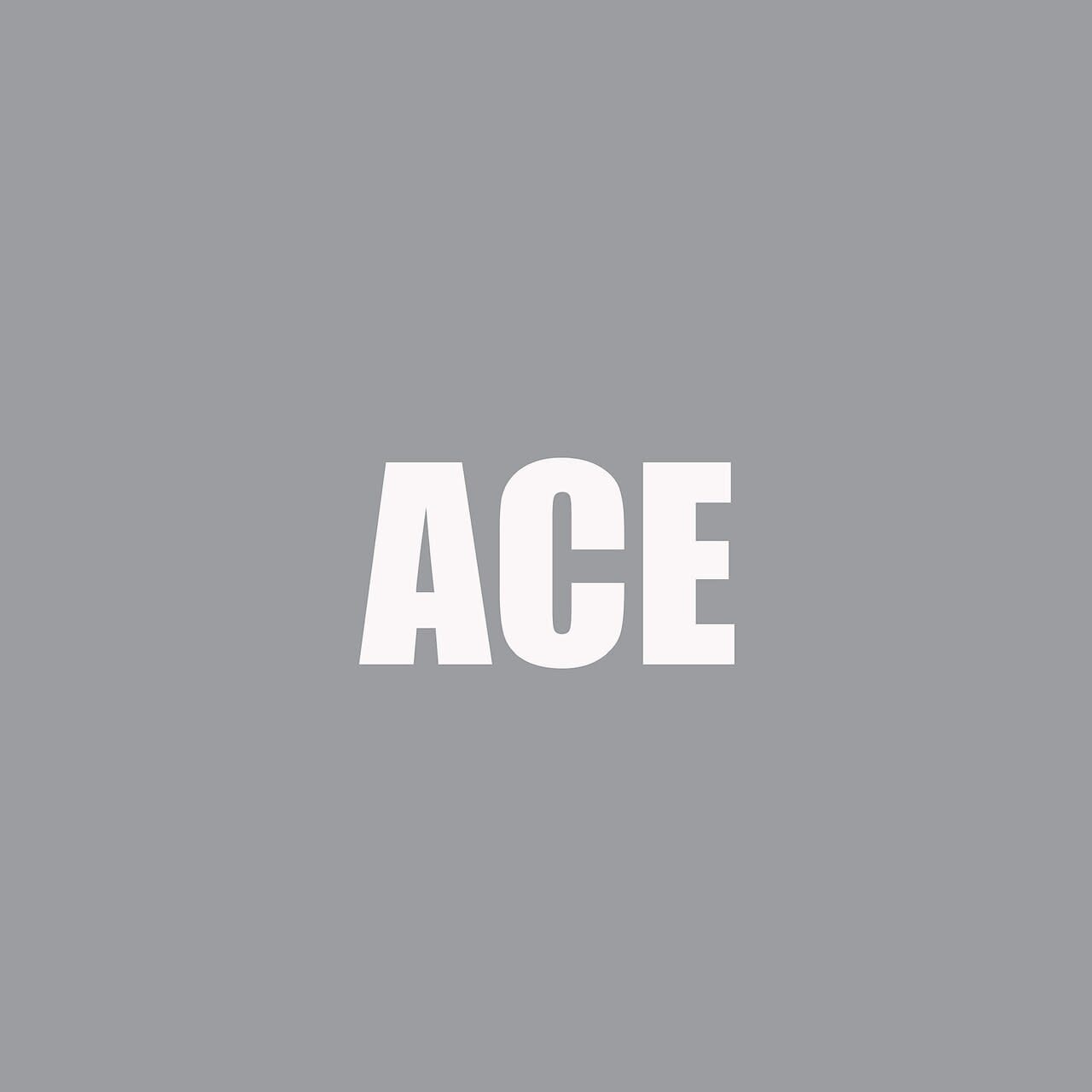 ACE:Re_大森　雅人