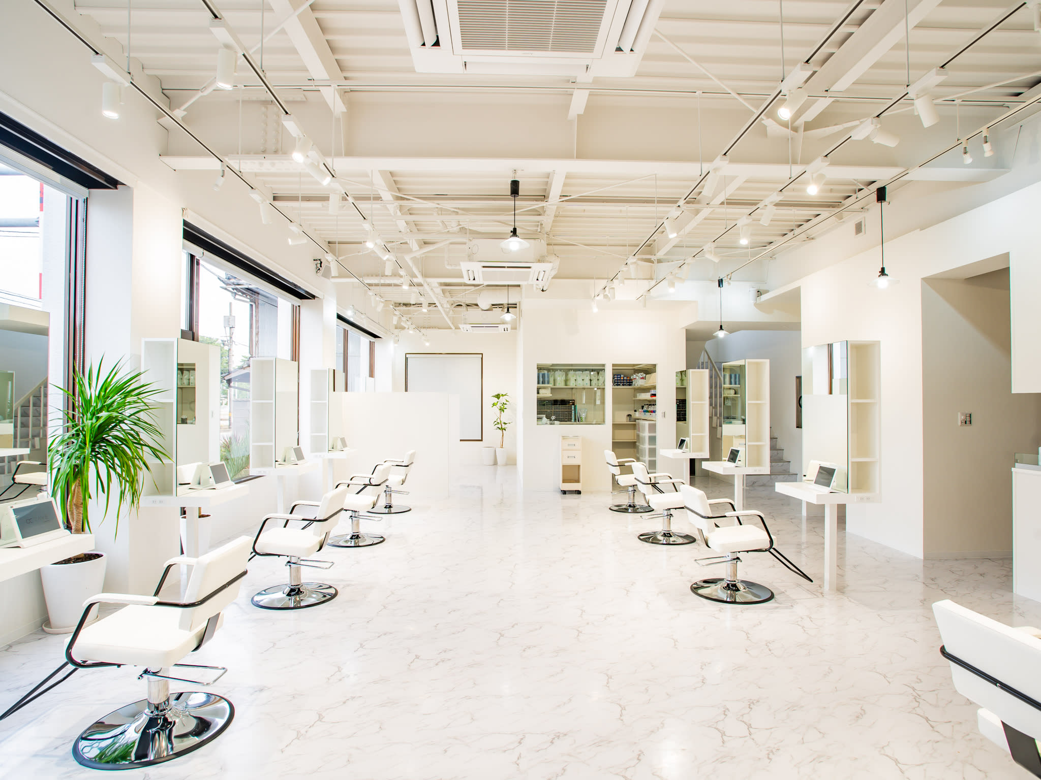 Antwerp hair lino_1