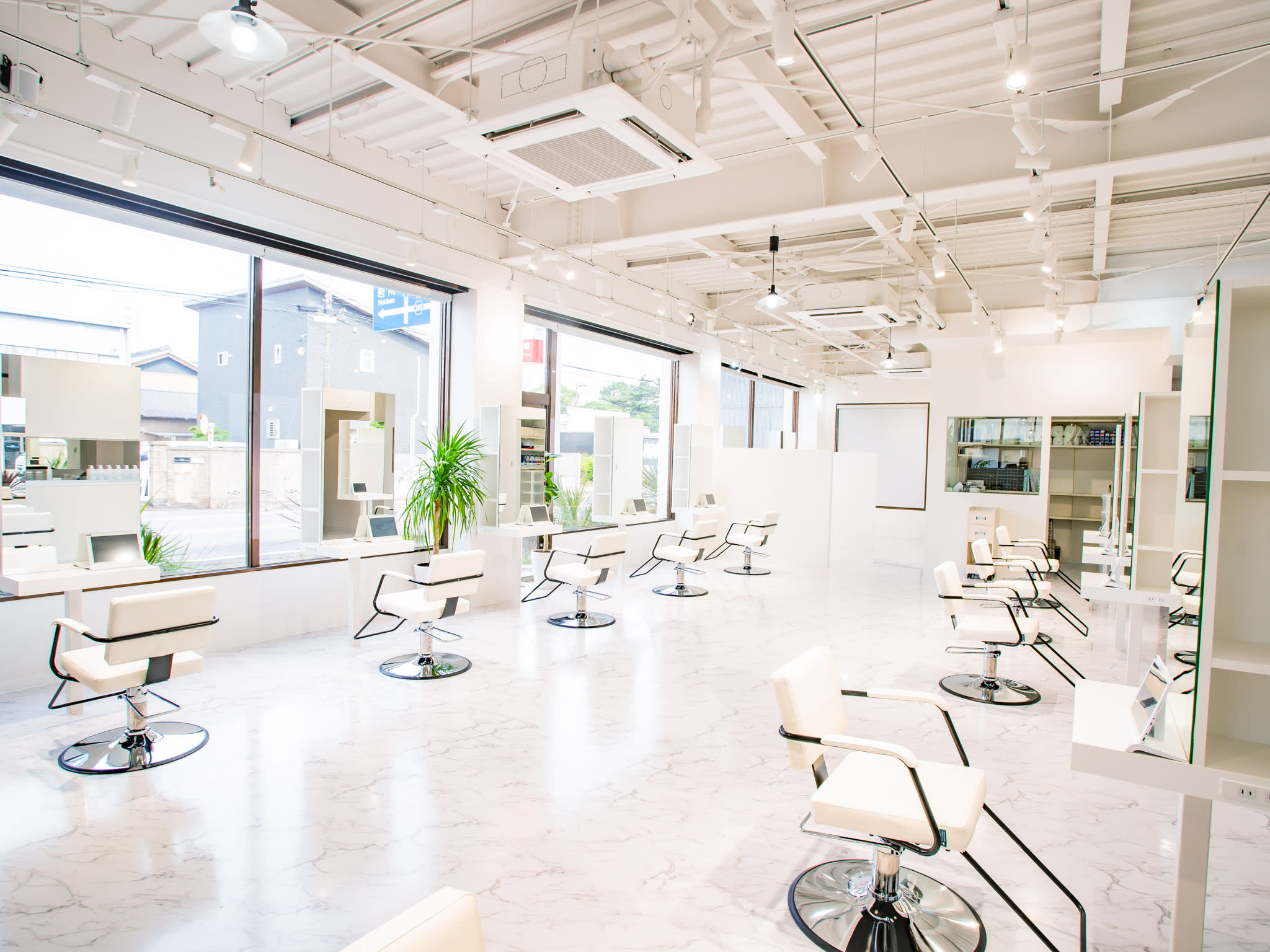 Antwerp hair lino_2