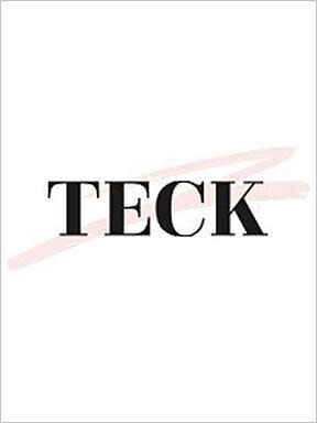 TECK_亀山