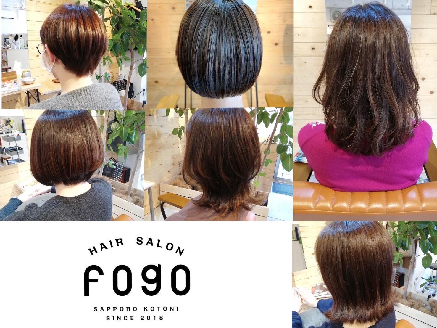 fogo