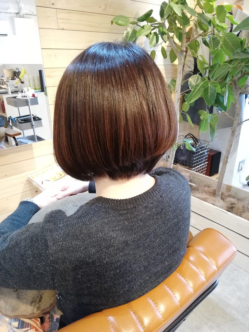 fogo_2