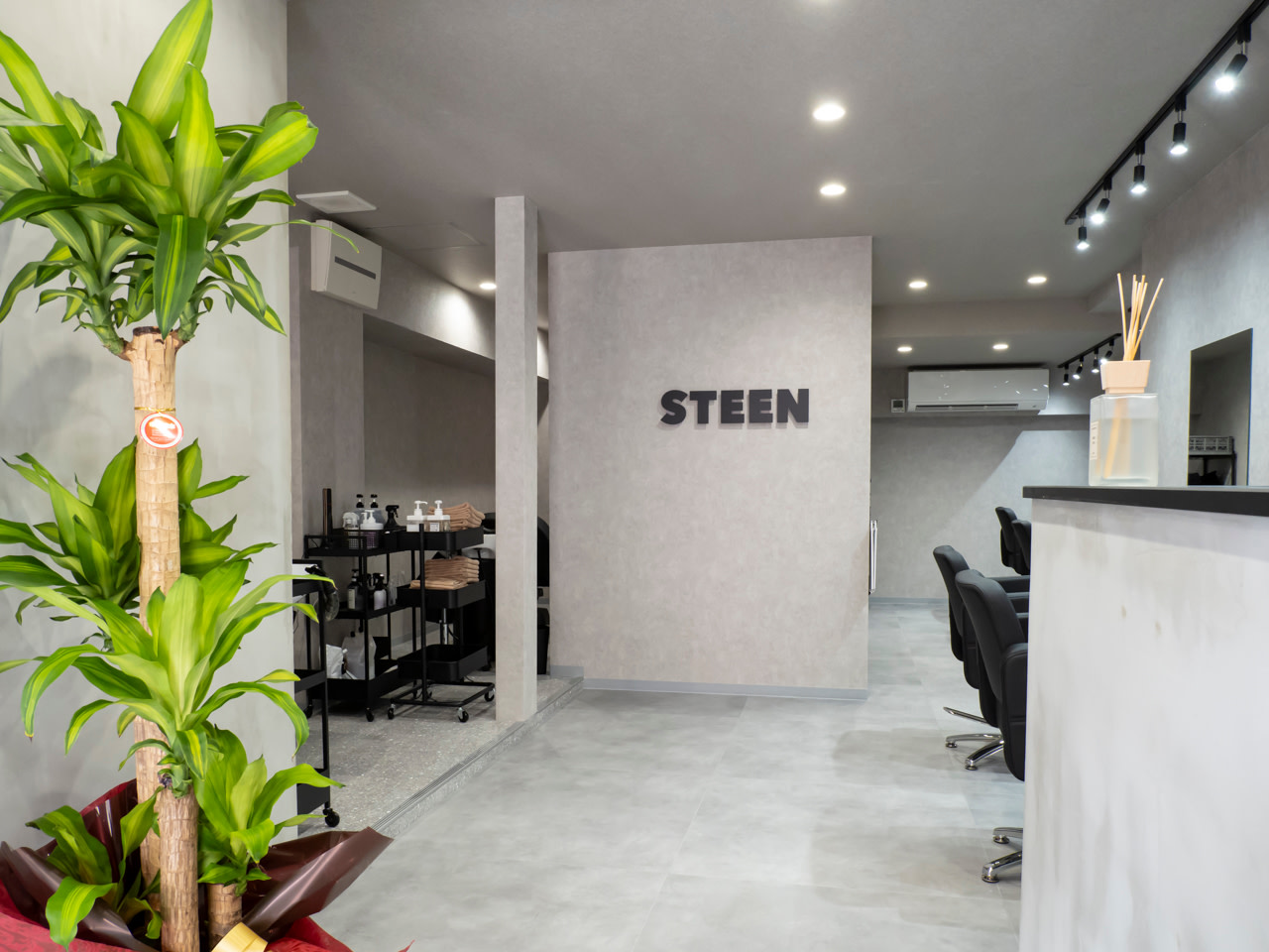 STEEN_1