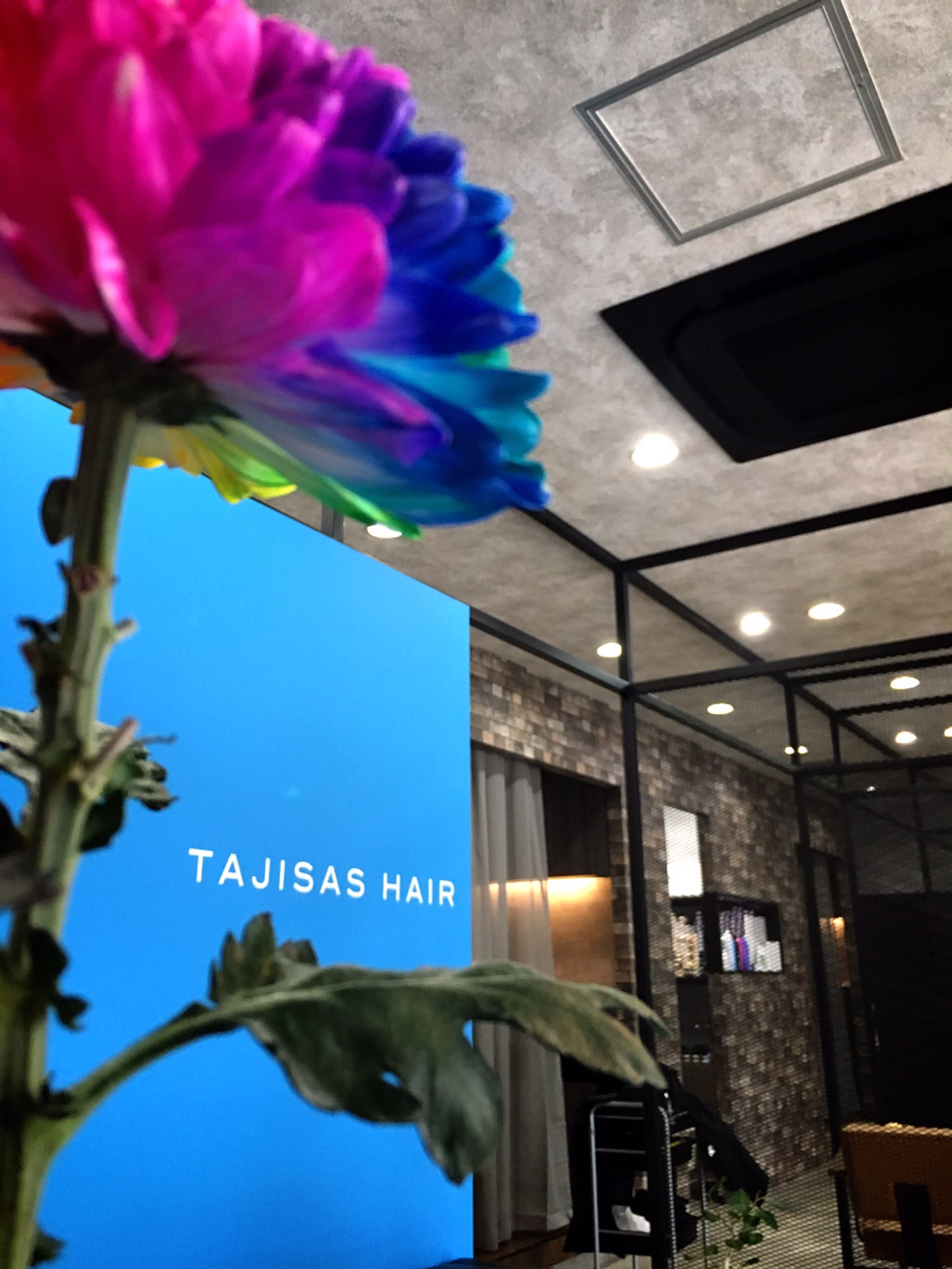 TAJISAS HAIR_土山 美玲
