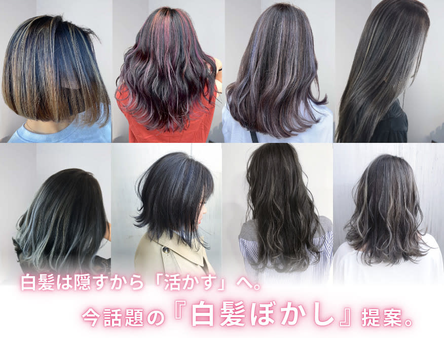 SALONS 亀屋丸太町店_2