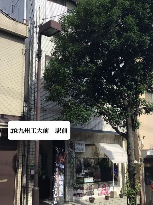 sakura kawaii_Kunihiko Kita 喜田邦彦