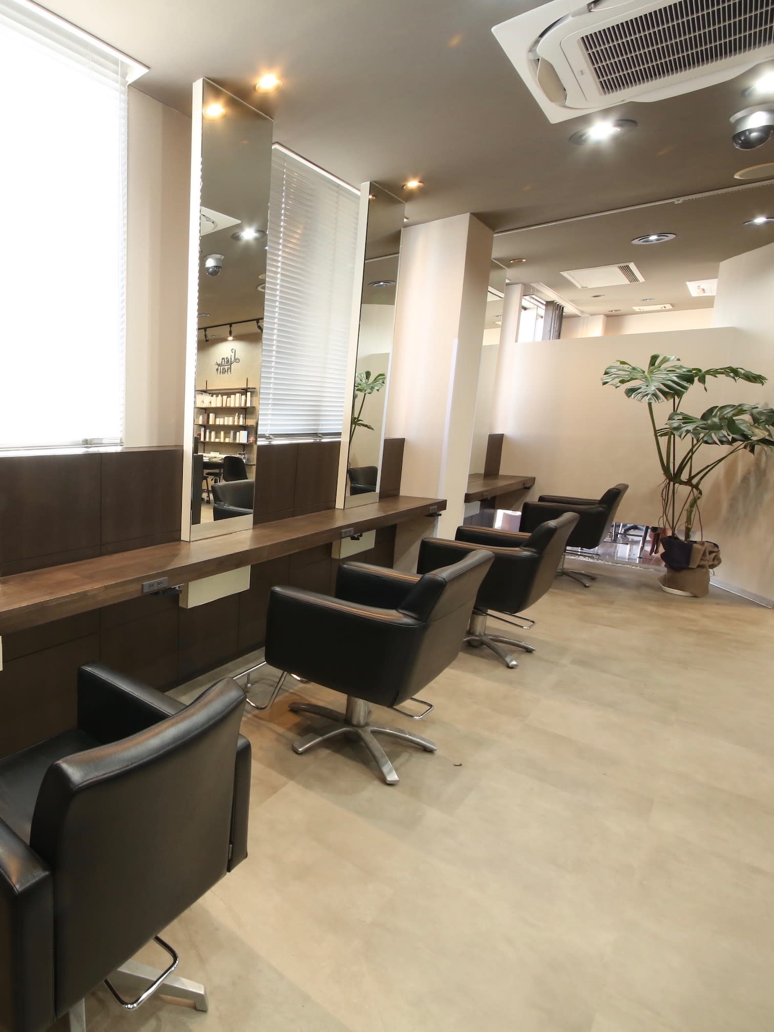 Lien hair_1