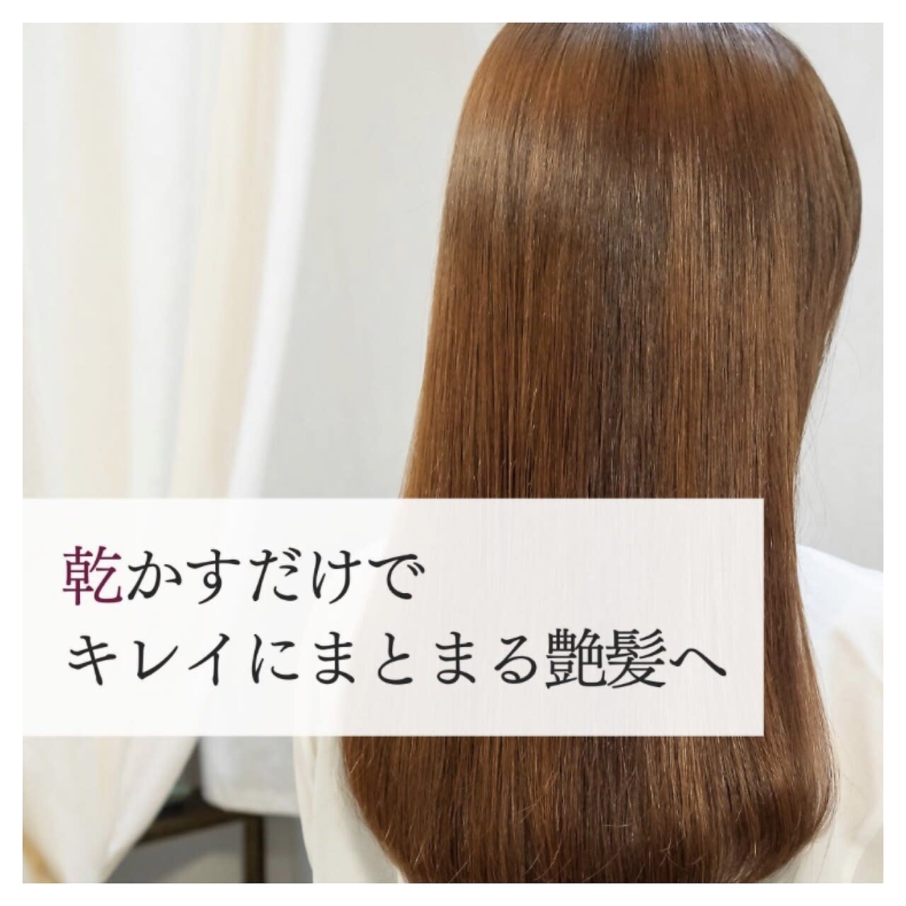 Dears高知店【ディアーズコウチテン】