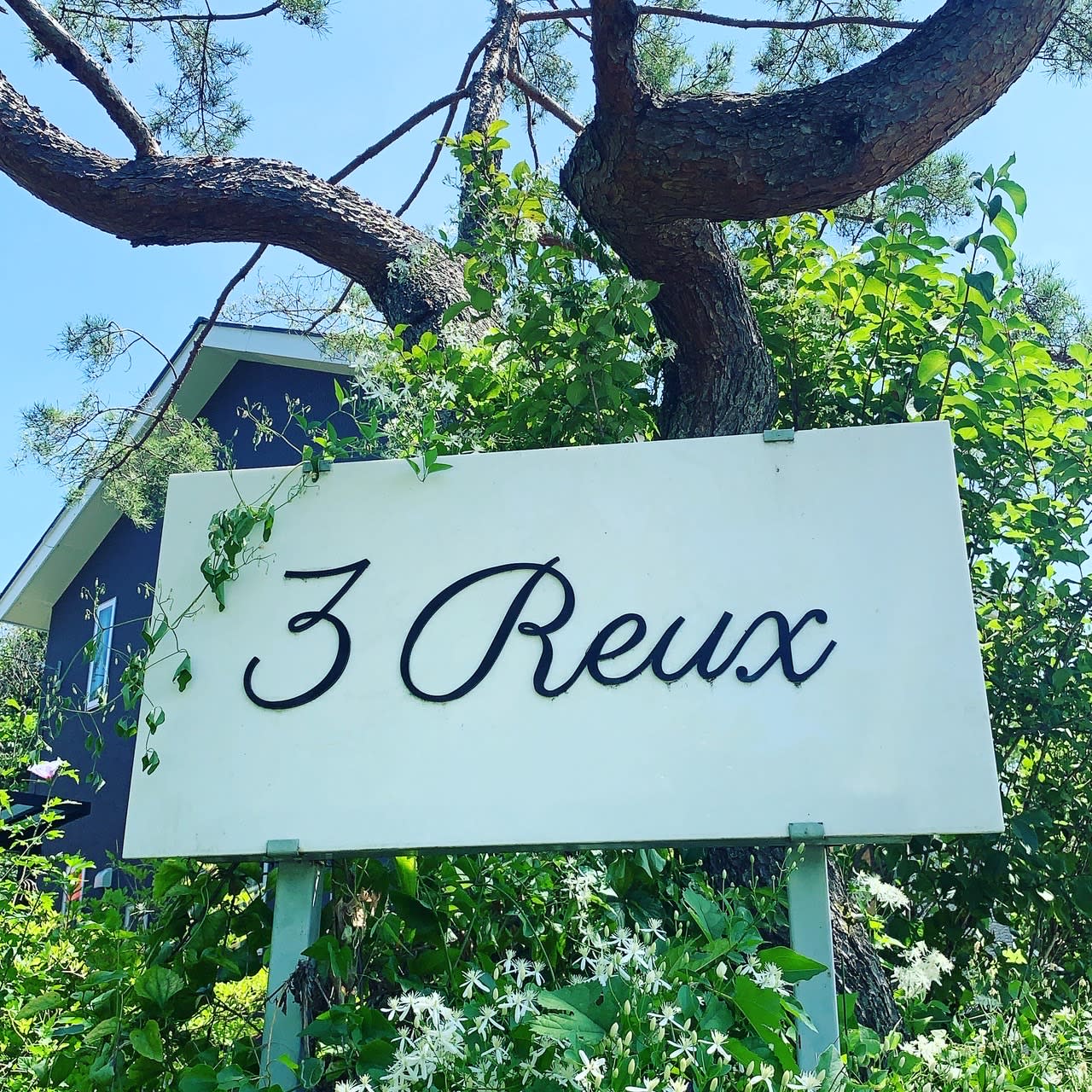 3Reux_柳澤