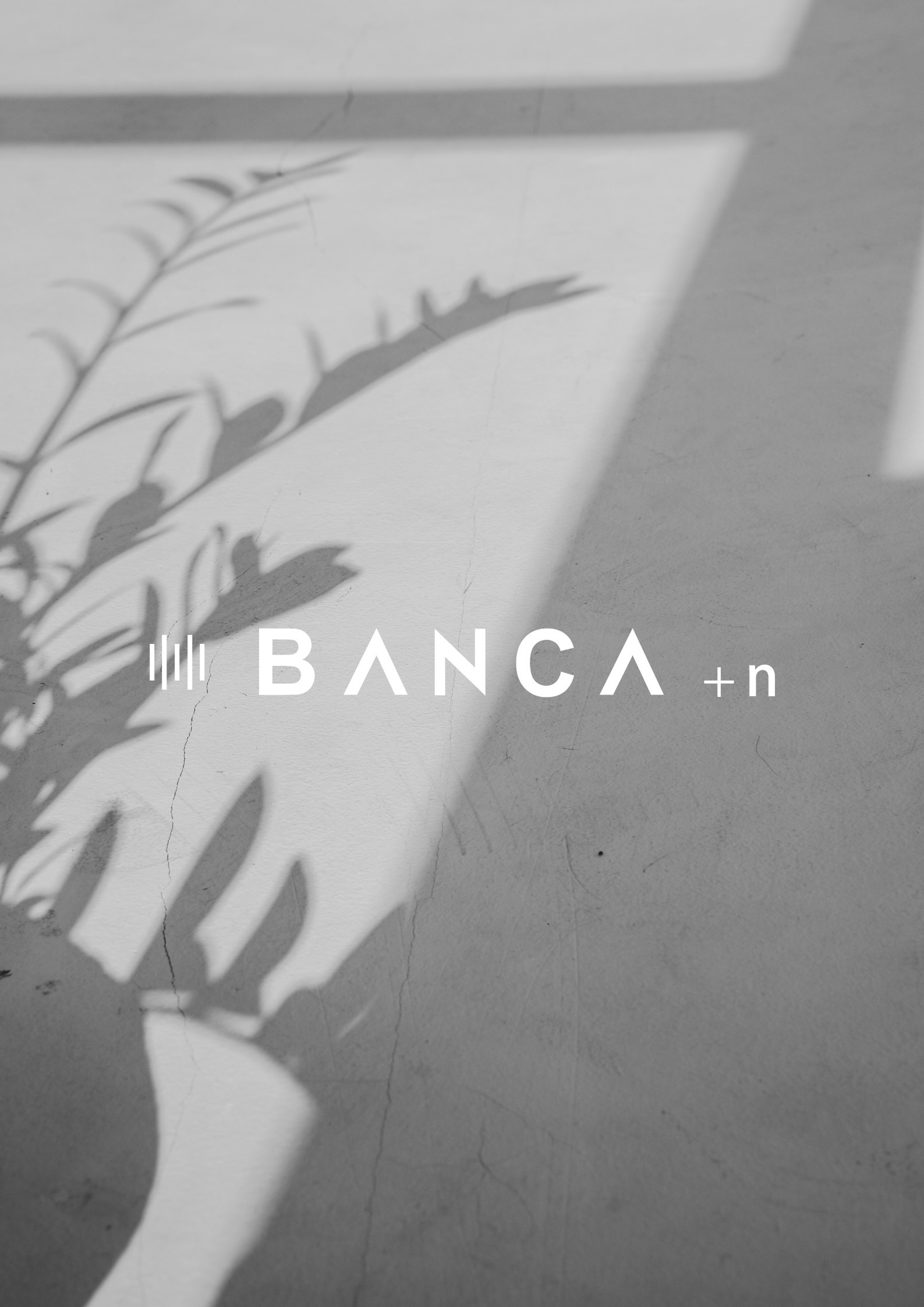 BANCA＋n_堀　かなこ