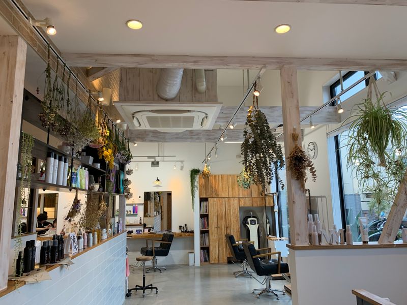 HAIR DESIGN esille.
