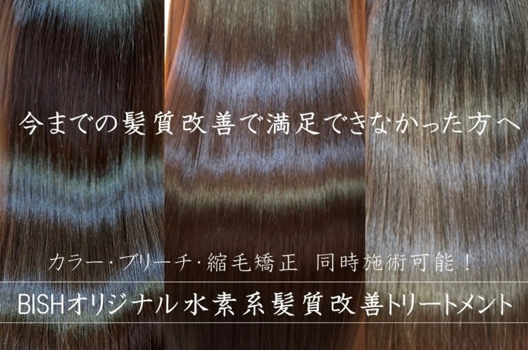 Hair's BISH_2