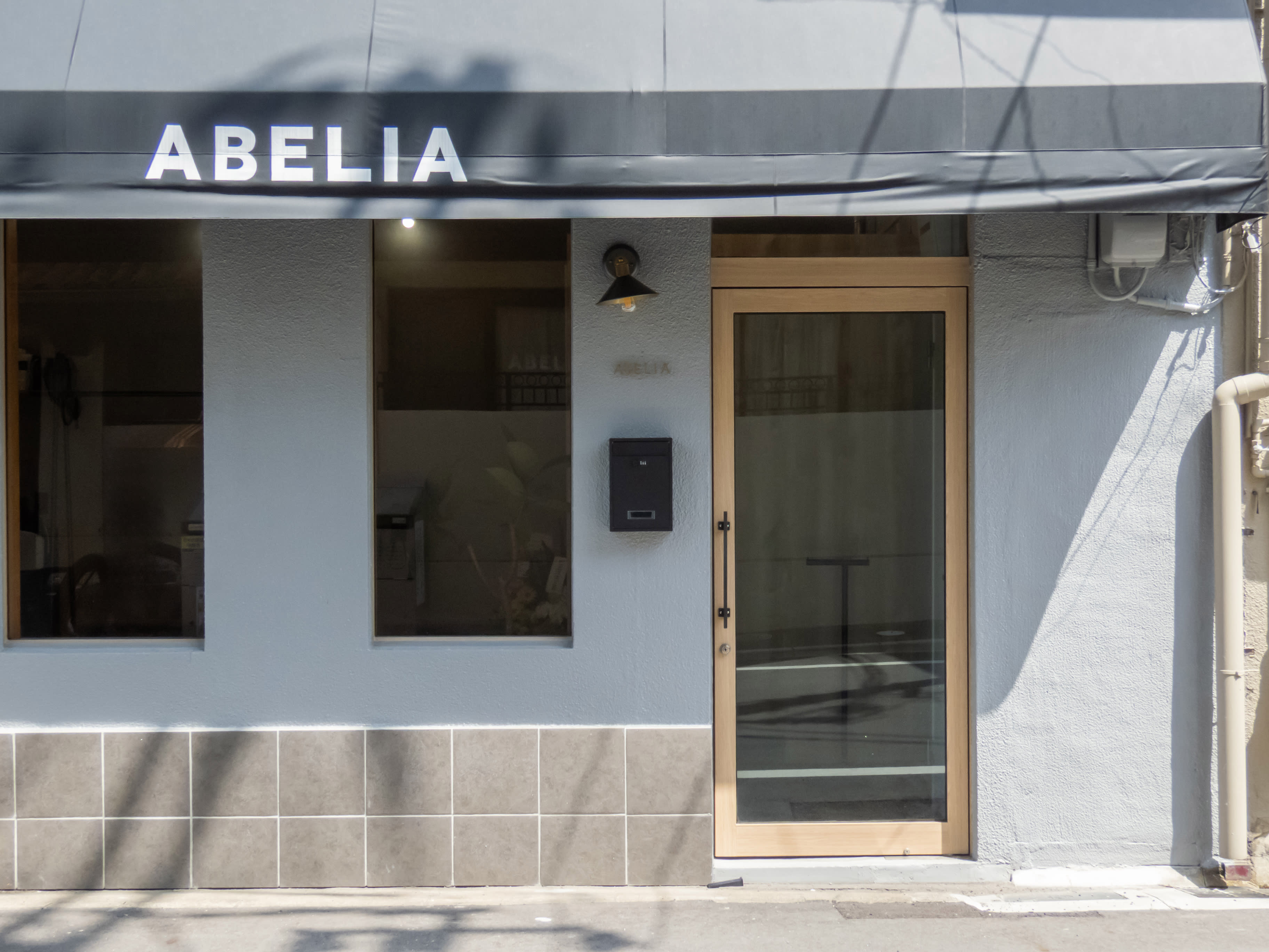 ABELIA_1