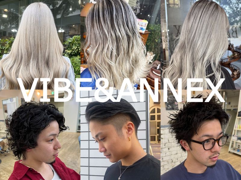 VIBE & ANNEX
